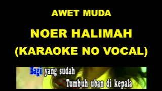 AWET MUDA - NOER HALIMAH (KARAOKE NO VOCAL)