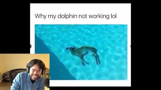 Hikaru Laughs At Dead Deer