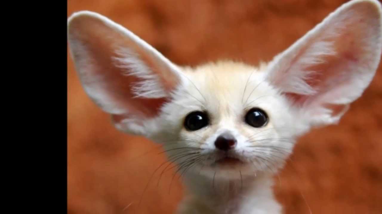 Arizona RV Consignment Specialists | Toll Free 855-787-4629 | used motorhome sales