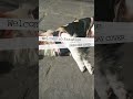 GREEN DAY cover | "Welcome to Paradise"