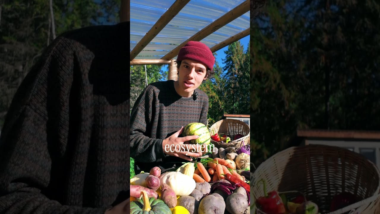 Почва — это НЕ вещь.