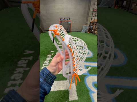 Ion Beta for the MCLA points leader