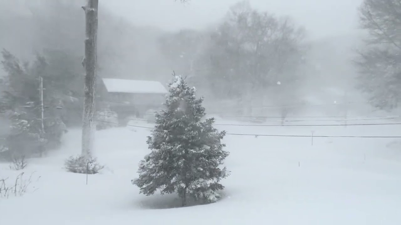 Blizzard of 2026