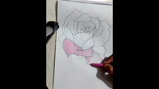 beautiful rose flower drawing #shorts