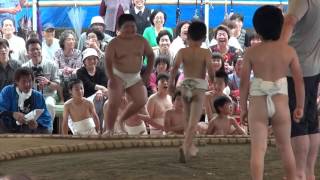 生月「住吉・白山神社奉納大相撲」