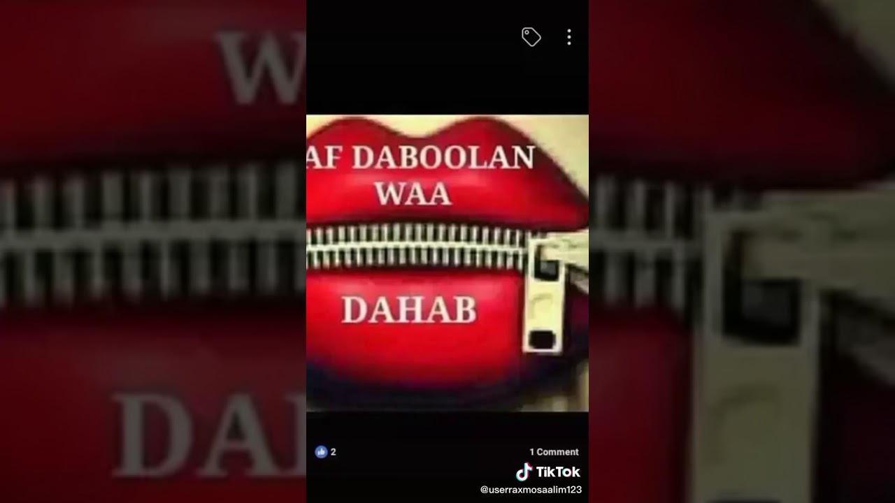 Breaking News Takaba🌹 Raha Mandera county /part330/abdullahi🌹adan(2)