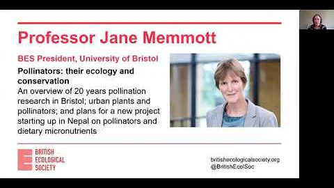 Ecology Live with Jane Memmott - Pollinators: thei...