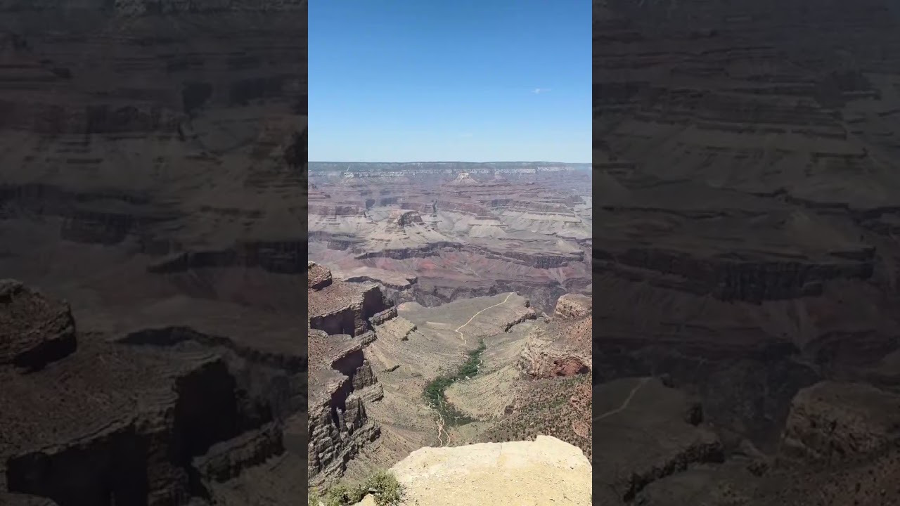 “A moment frozen in time — nature’s marvel in full display 🌿✨ 