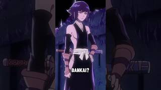 Why Does Soi Fon Hate Her Bankai