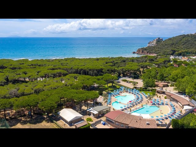 camp de aide NF4.1/D