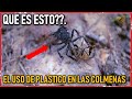 El uso de PLÁSTICO EN LAS COLMENAS - Porque razón lo hago - Apicultura