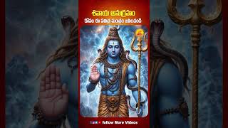 ఈ పవిత్ర మంత్రాన్ని భక్తితో జపించి శివుని కృప పొందండి🙏🔱🌸 #omnamahshivaya #Mahadev #HarHarMahadev