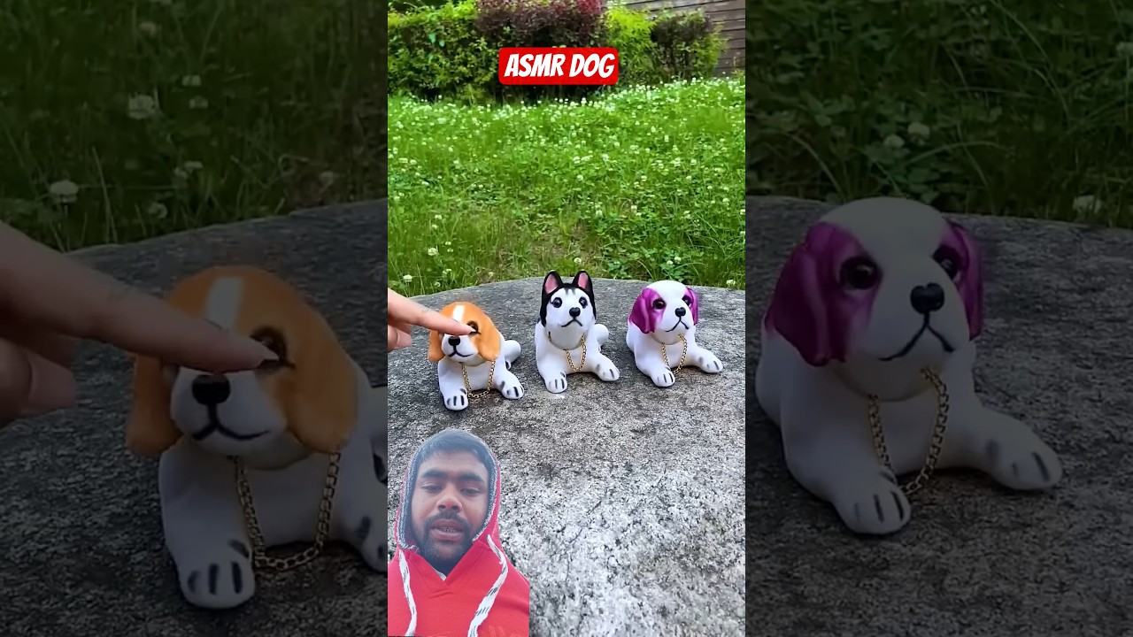 Alibaba Tool🐶🐶 Gadgets cute puppy toys 🧸 