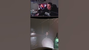 Pure Chaos in Lethal Company