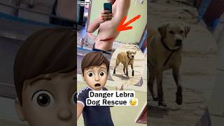 Danger Lebra Dog Rescue  minivlog