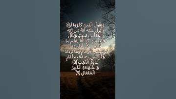 وَكُلُّ شَيْءٍ عِندَهُ بِمِقْدَارٍ .... ( سوره الرعد ) #سعودالشريم