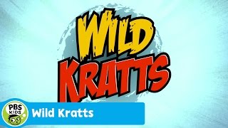 Celebrity WILD KRATTS: Theme Song | PBS KIDS Profile