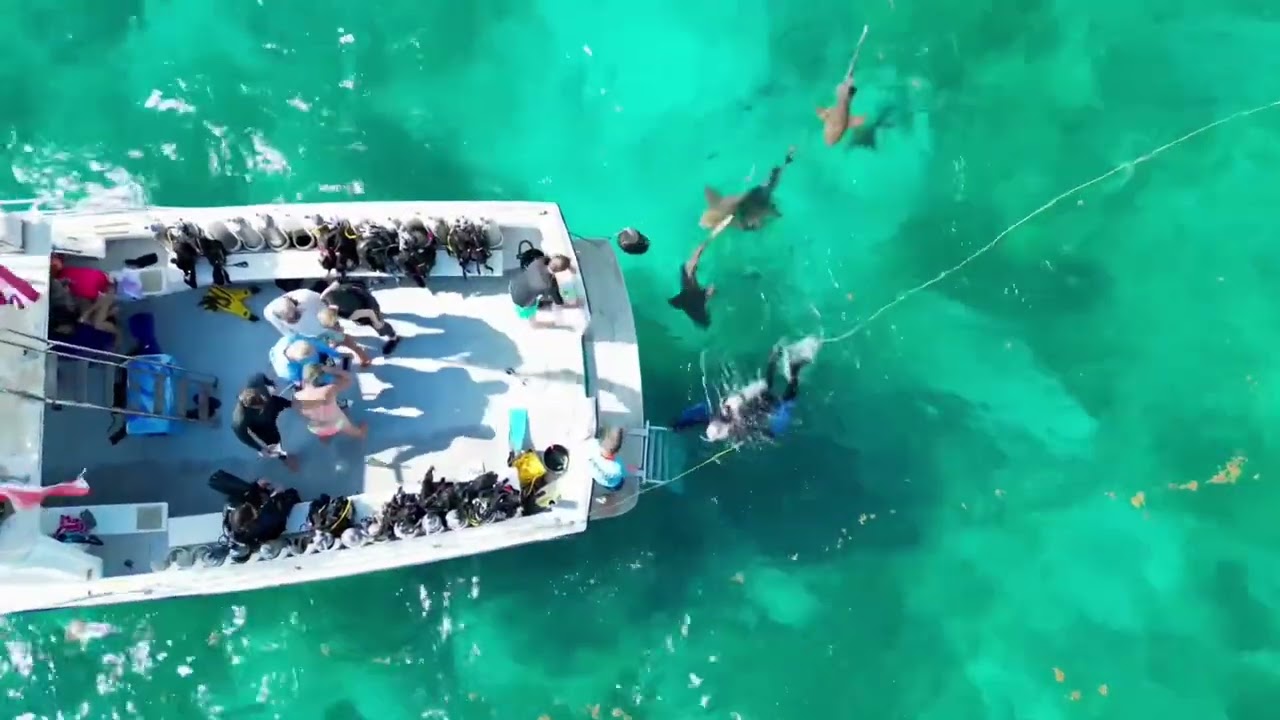 Aerial View of the Creature Feature Dive With Captain Slates in the Florida Keys