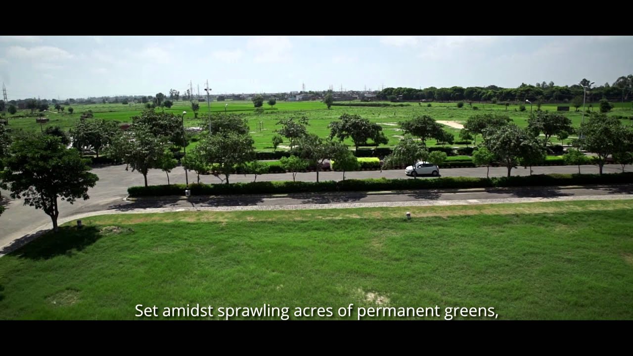 Alpha International City, Karnal YouTube