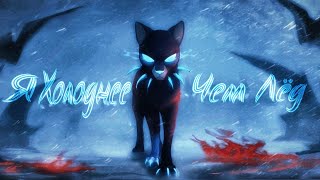 картинка: Коты Воители Бич: Я холоднее чем лёд [Дамбо Music]