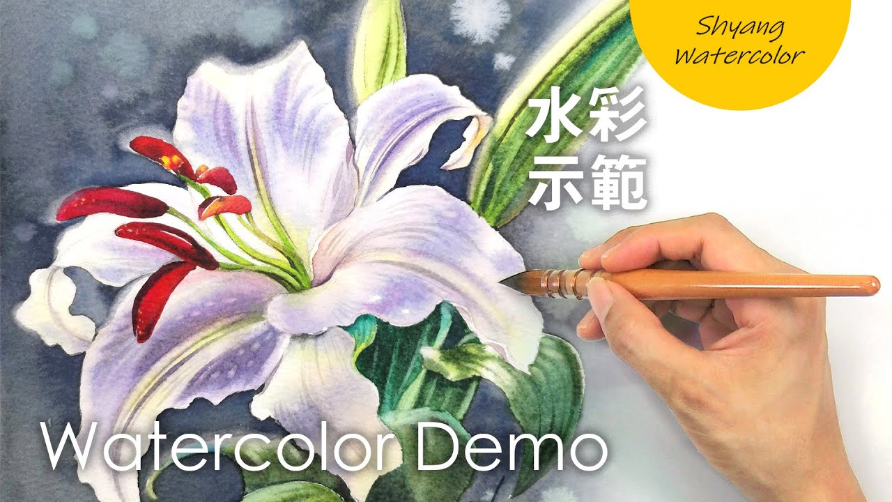 百合花的水彩画法 干湿结合法 水彩示范 陈熙翔水彩 Youtube