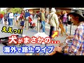 【驚愕】路上ライブで犬がまさかの...!?日本人ストリートミュージシャンの演奏中に奇跡が起きた【海外】