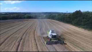 Moisson de blé 2017 en Côtes-d'Armor