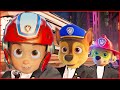 PAW PATROL - Meme Coffin Dance COVER Astronomia