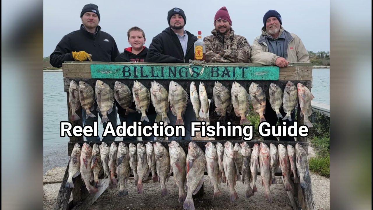 Fishing the drum run in Corpus Christi Texas