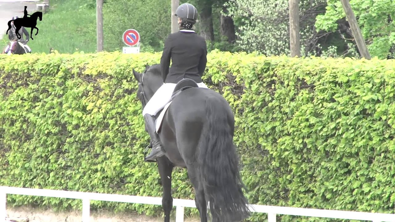 24.05.2015 Concours de dressage /Centre Equestre Finger La Chaux-de-Fonds