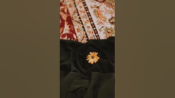 قُلْ أَتُعَلِّمُونَ اللَّهَ بِدِينِكُمْ وَاللَّهُ يَعْلَمُ||سورة الحجرات||احمد خضر