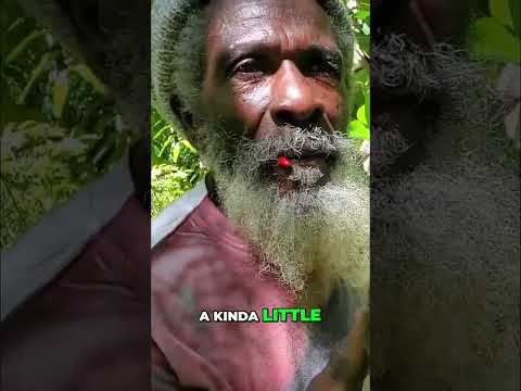 Mountain Soursop vs. Regular Soursop: Juice Differences Revealed! #shorts