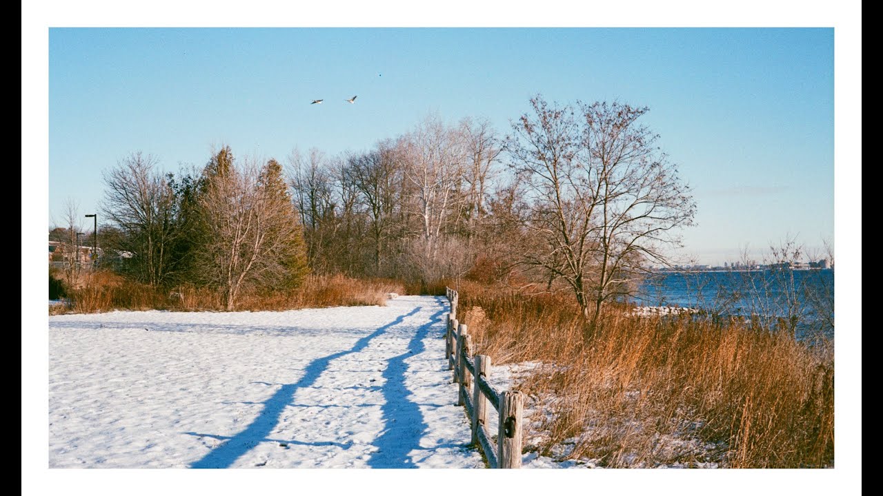 Testing Lucky C200 Film : a quiet walk with my Minolta Hi-Matic 7s |