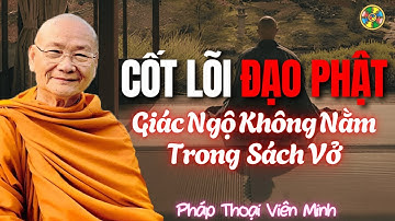 Cốt Lõi Phật Giáo –  Giác Ngộ Không Nằm Trong Kinh Sách | Thầy Viên Minh