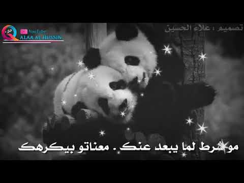 متل ما انت عندك قلب هو عندو قلب اجمل كلام مع الباندا