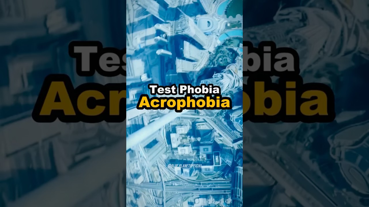 Phobia Test - Acrophobia 😨  
