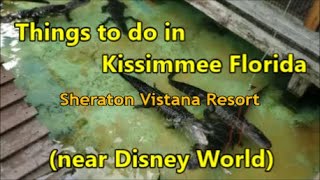 Sheraton Vistana Resort: Things to do in Kissimmee Florida (near Disney) by Bikes Boats Bivouacs 106 views 2 months ago 15 minutes