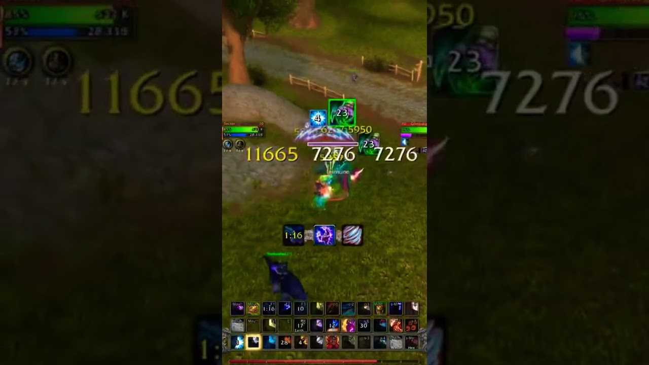 Enha Shaman vs BEST DH In The WORLD (rank 1) #worldofwarcraft