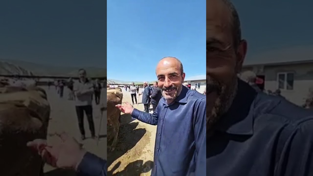 Aşkale Canlı hayvan pazarı Kurbanlık fiyatları