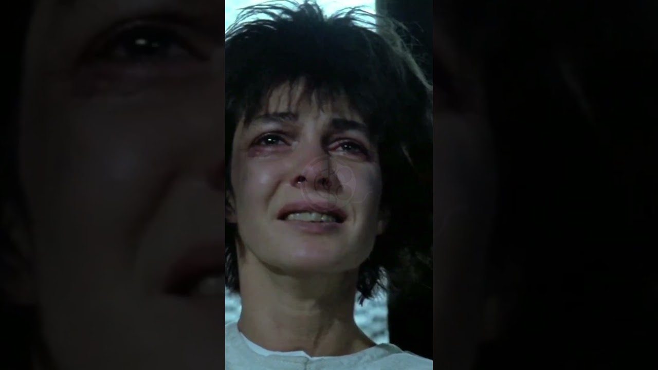 ¿Qué es el CINEMA DU LOOK? 