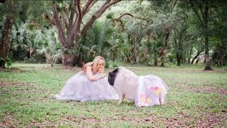 Port Charlotte woman starts clothing line for pigs finds surprising success