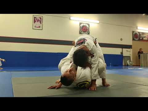 Overhead Sweep from Falcon Guard by Joel Bouhey