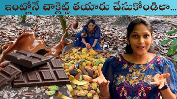 Cocoa Farm to Chocolate – The Real Journey of Chocolate Making! | knc vlogs