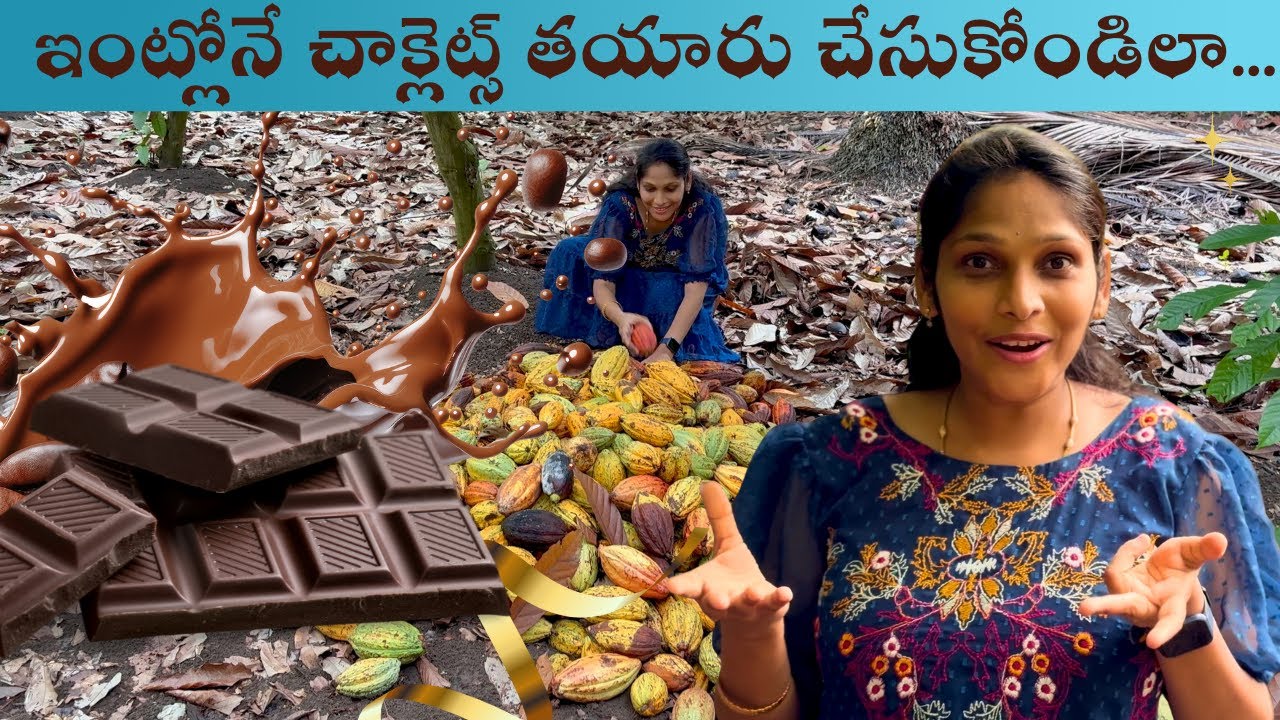 Cocoa Farm to Chocolate – The Real Journey of Chocolate Making! | knc vlogs