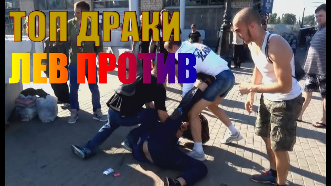 Драка против видео. Лев против драки подборка.