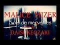 MALICE MIZER /Bois de merveilles (cover)