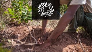 Conserving The Future