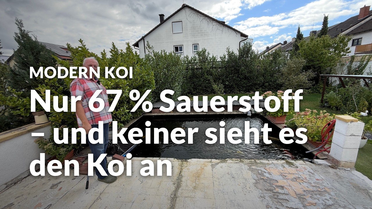 Eine Wasseranalyse an Johans 18.000l Koiteich | Modern Koi Blog #8331