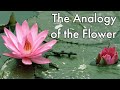 The Analogy of the Flower