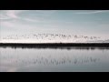 Highway 37 wetlands tour the north bay flyway highway